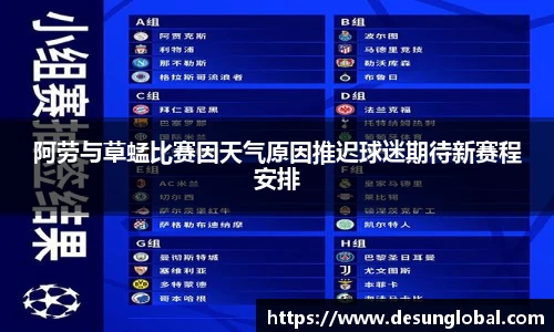 阿劳与草蜢比赛因天气原因推迟球迷期待新赛程安排